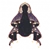 Starry Dream (Veil)