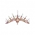 Holy Crown