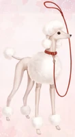 Poodle