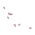 Rain of Flowers