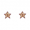 Star Earrings