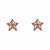 Star Earrings