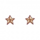 Star Earrings