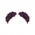 Black Swan's Crown