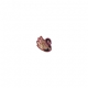 Dusty Shard