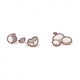 Egg of Huayangosaurus