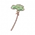 Four Leaf Clover