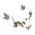 Jovial Escapade