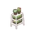 Plant Shelf