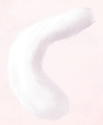 cat tail drawing