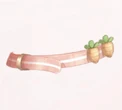 Carot - Strawberry