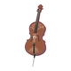 Maple and Violin