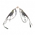 Burning Wings