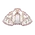 White Devotion