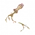 Sands Flowing