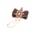 Heart of Daybreak