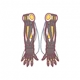 Illuminant Armor