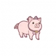 Goofy Cute Piggy