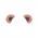 Raccoon Ear