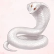 White Snake Silhouette