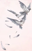 Autumn Grey Pigeon