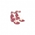 Dance of Flower