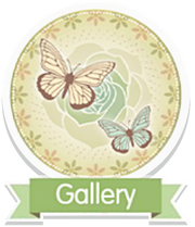 Gallery icon.png