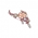 Dying Star