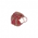 Surprise Treasure