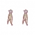 Wonder Encounter (Earrings)