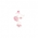 Doll Wrist Flower