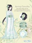 Spring Camellia