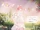 Blossoming Miracle