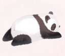 Lazy Prone Panda