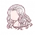Curly Persian Cat (Hair)