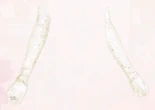 Crescent Gloves.jpg (202 KB) Crescent Gloves
