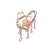 Cupid Bird