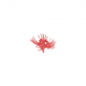 Bloody Flame (Tattoo)
