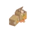 Kitty Orange Case