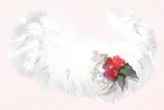 Sweet Somniloquy