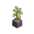 Green Waterdrop