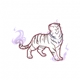 Night White Tiger