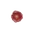 Blossom of Dreams