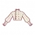 Joyful Tune (Top)