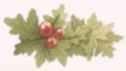 Mossberry.png (11 KB) Mossberry