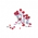 Hot Blossom
