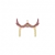 Star Invoker (Face)