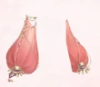Gauzy Sleeves
