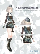 Northern Soldier
