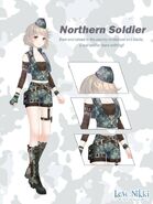 Northern Soldier